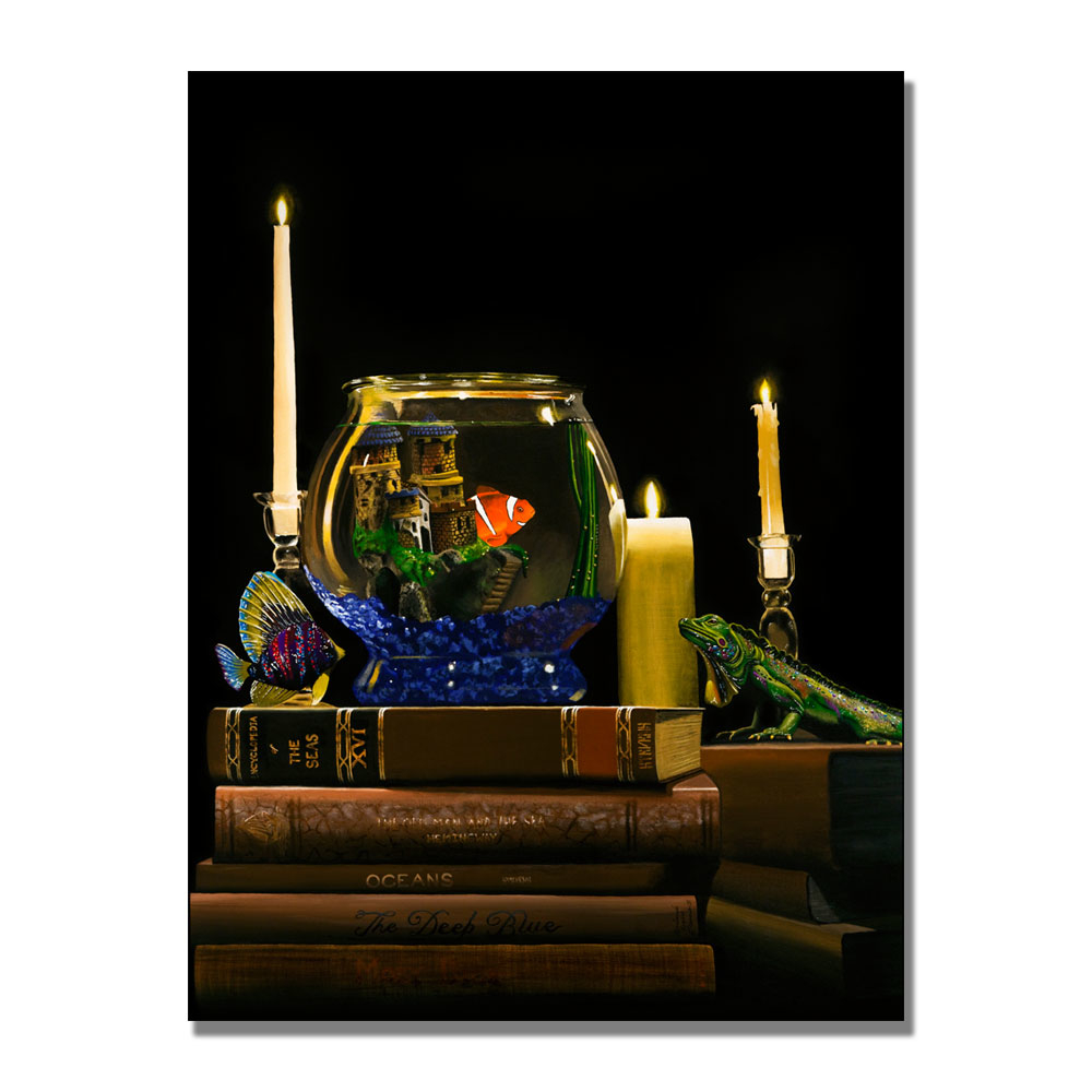 Roderick Stevens 'Fishbowl' Canvas Wall Art 35 X 47 Inches