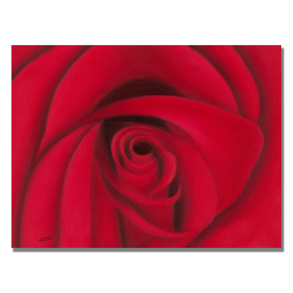 Rio 'Red Rose' Canvas Wall Art 35 X 47 Inches