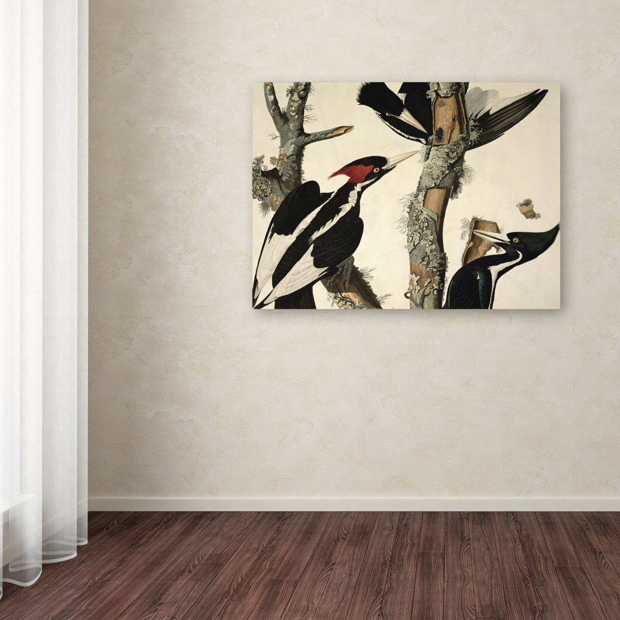 John James Audubon 'Ivory-Billed Woodpecker' Canvas Wall Art 35 X 47 Inches