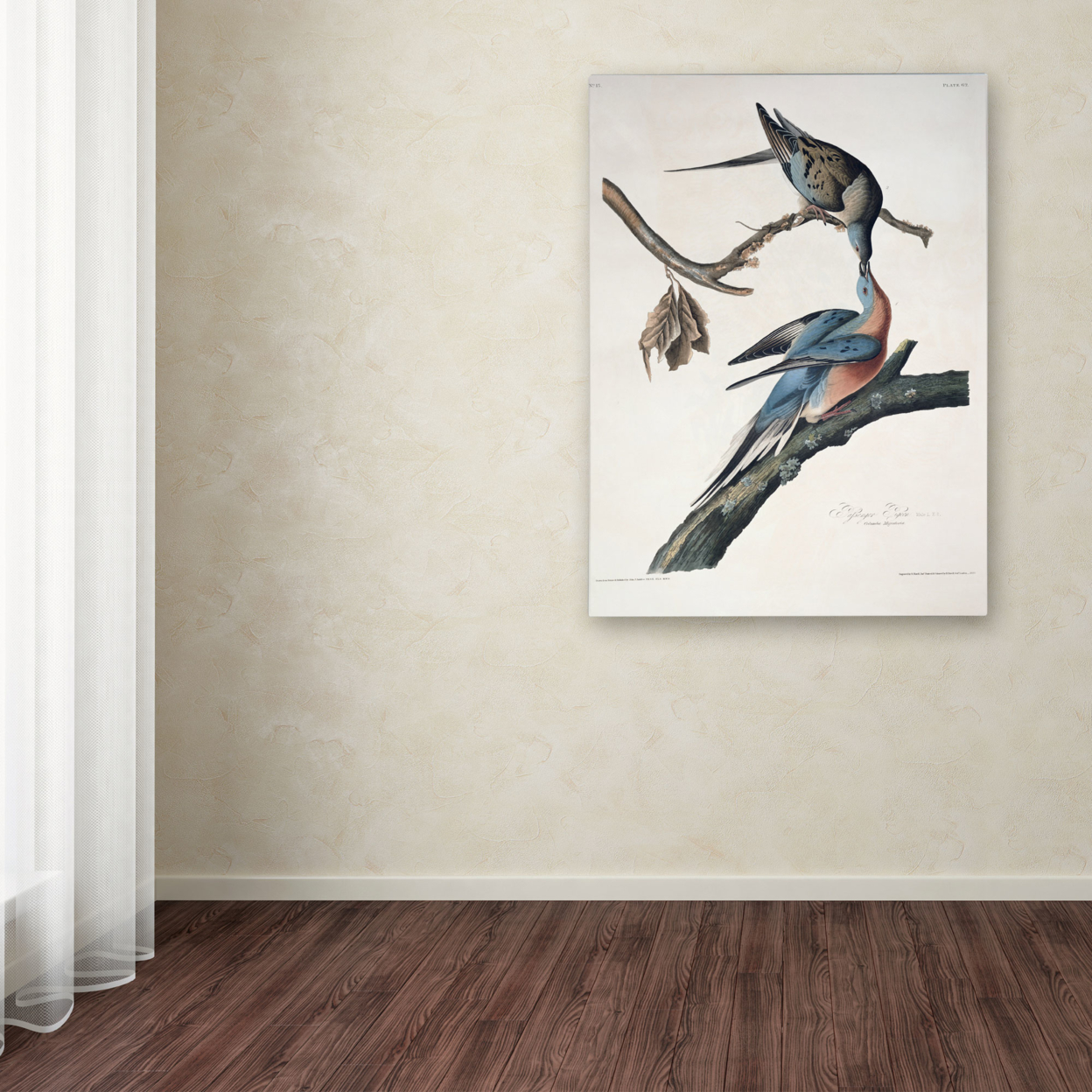 John James Audubon 'Passenger Pigeon' Canvas Wall Art 35 X 47 Inches