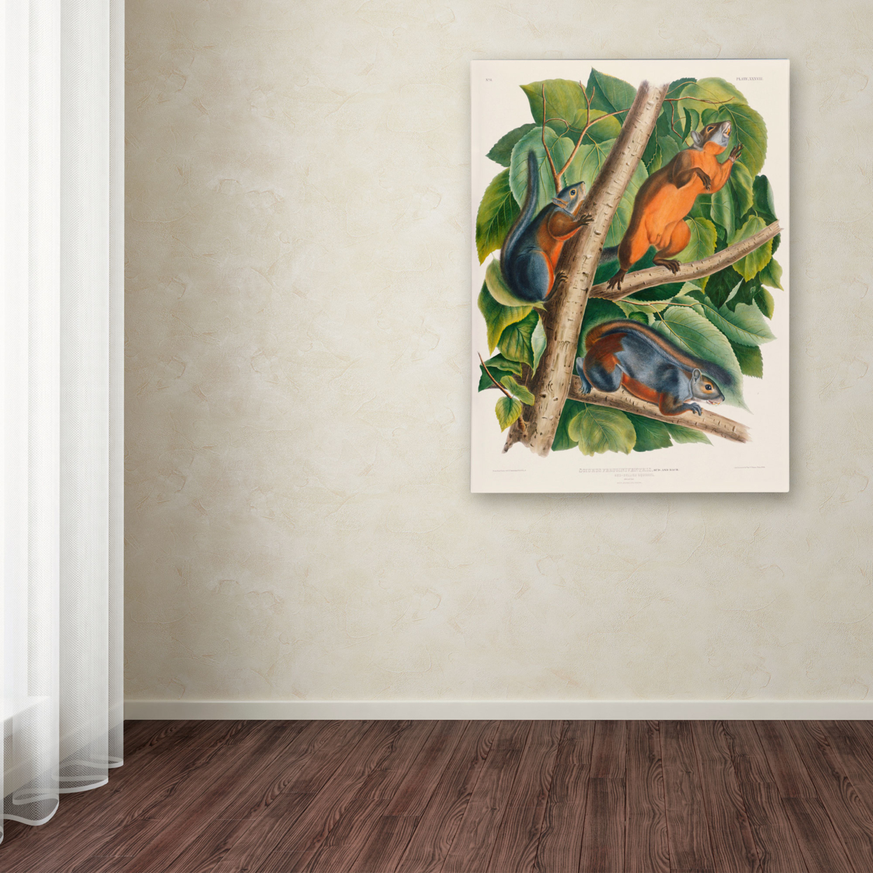 John James Audubon 'Red-Bellied Squirrel' Canvas Wall Art 35 X 47 Inches