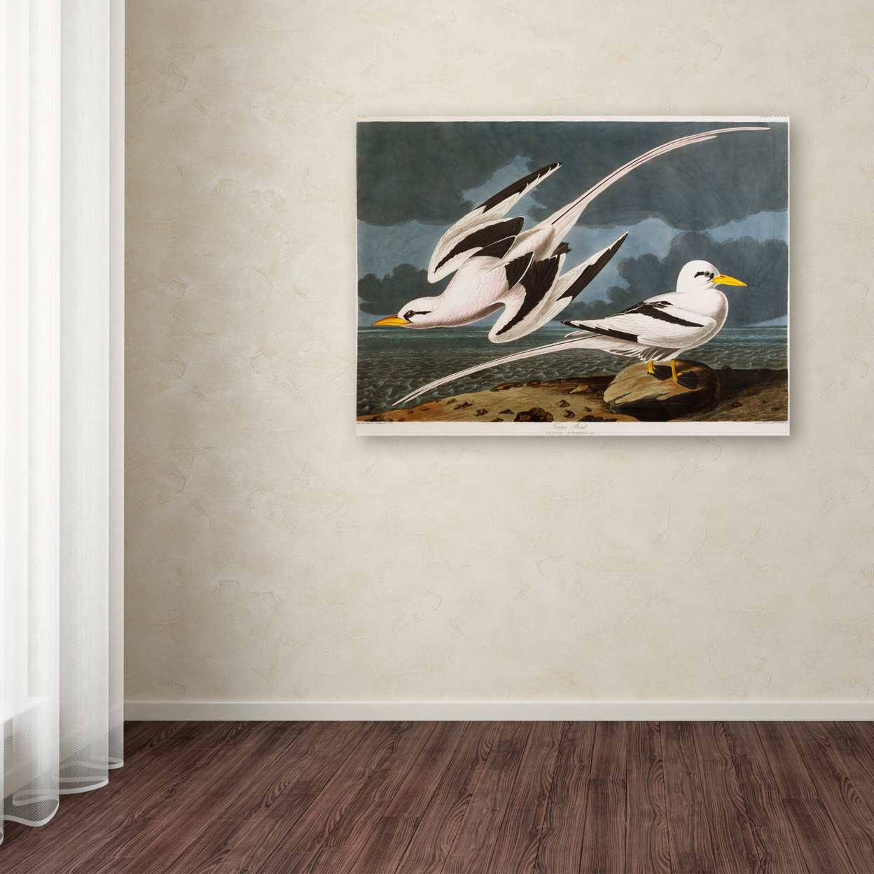 John James Audubon 'Tropic Bird' Canvas Wall Art 35 X 47 Inches