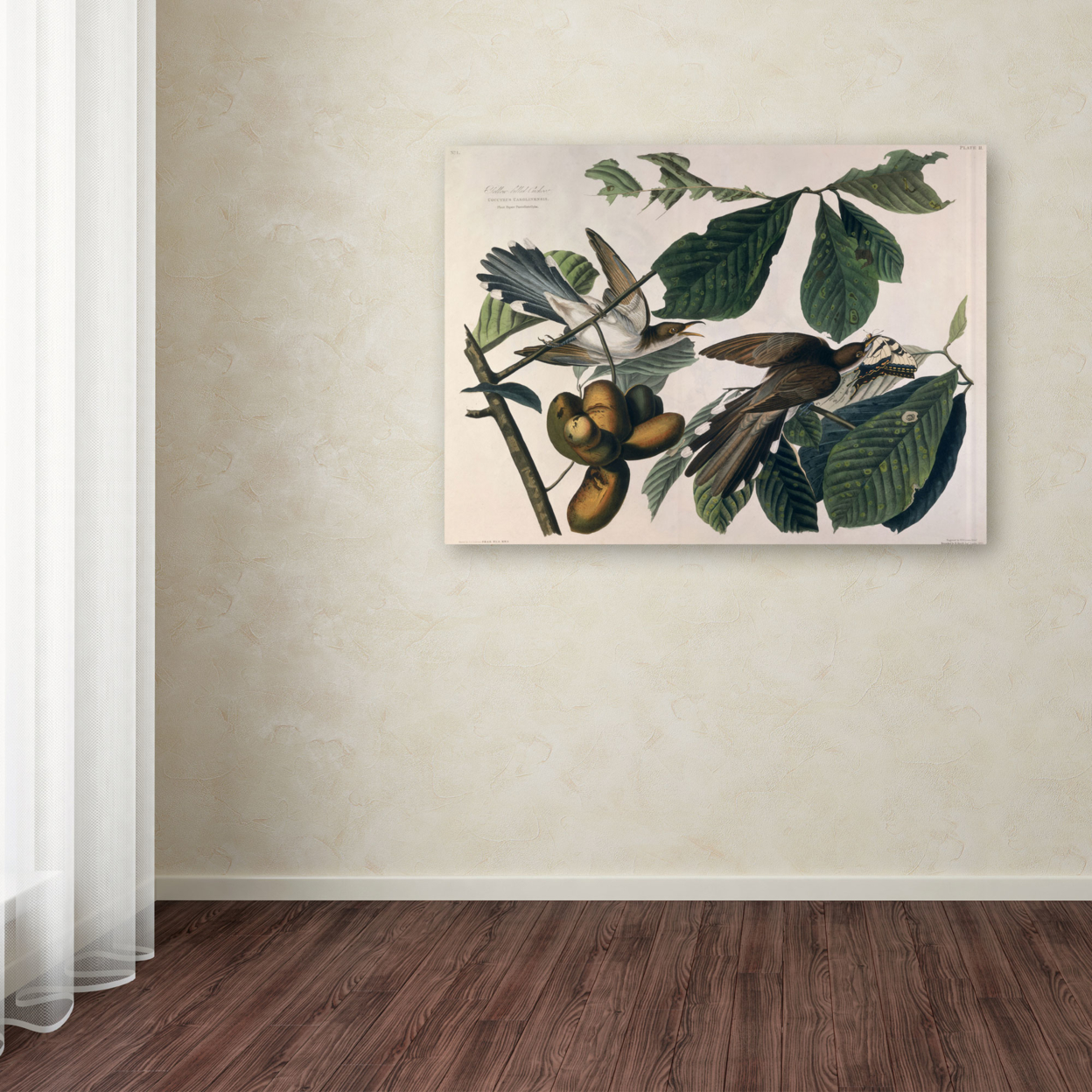 John James Audubon 'Yellow-Billed Cuckoo' Canvas Wall Art 35 X 47 Inches