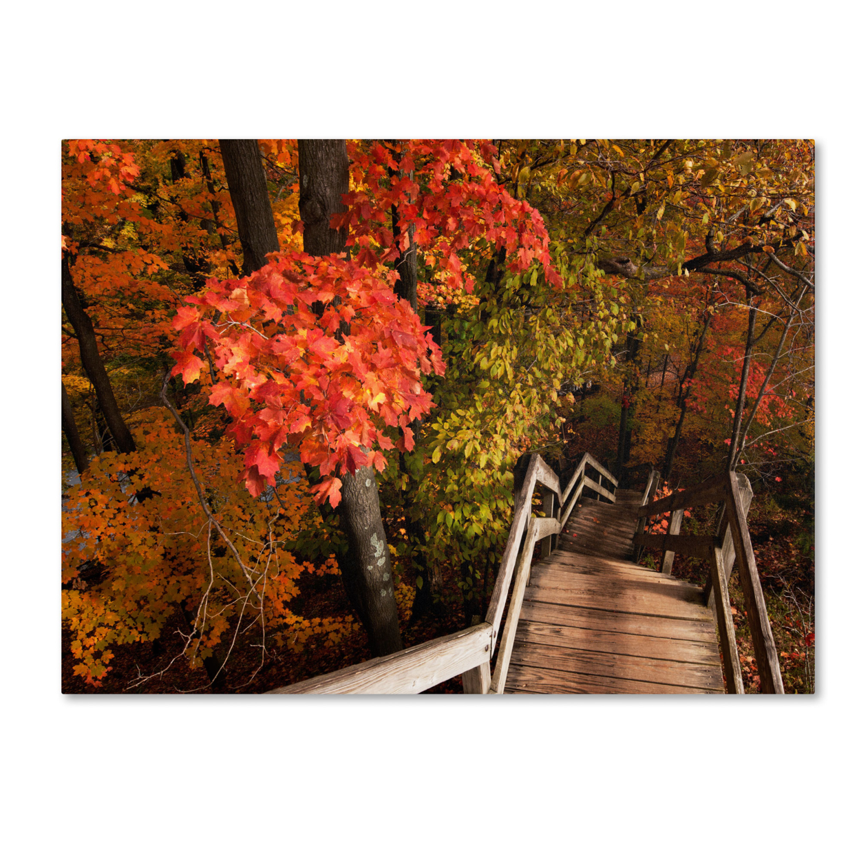 Kurt Shaffer 'Brilliant Autumn Stairway' Canvas Wall Art 35 X 47 Inches