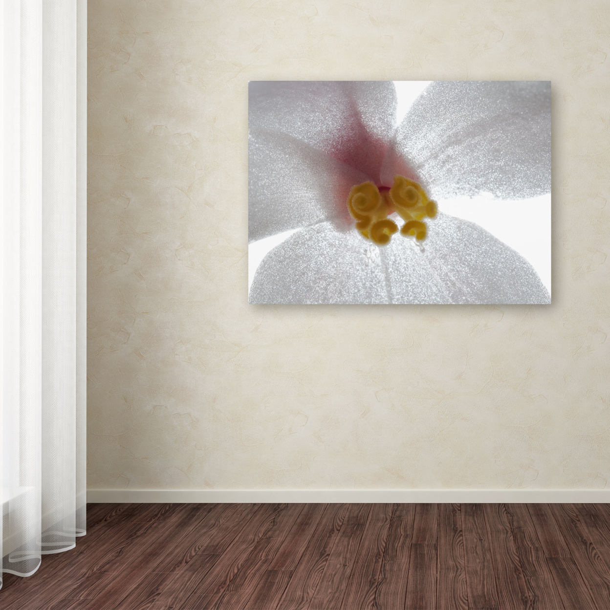 Kurt Shaffer 'Escargo Begonia' Canvas Wall Art 35 X 47 Inches