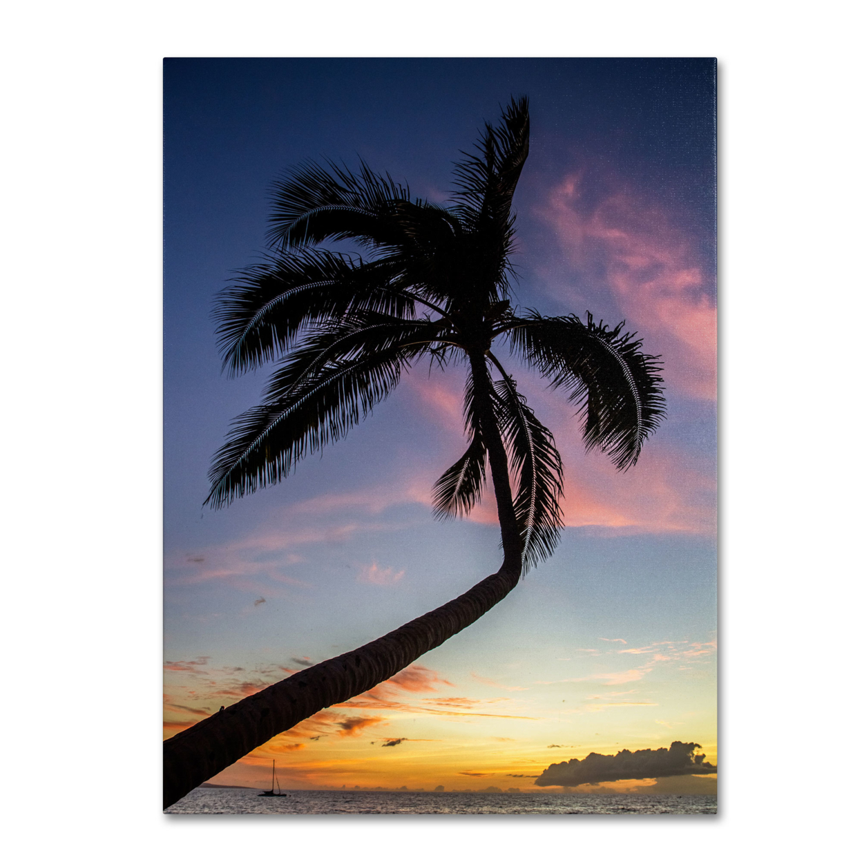 Pierre Leclerc 'Sunset Palm' Canvas Wall Art 35 X 47 Inches