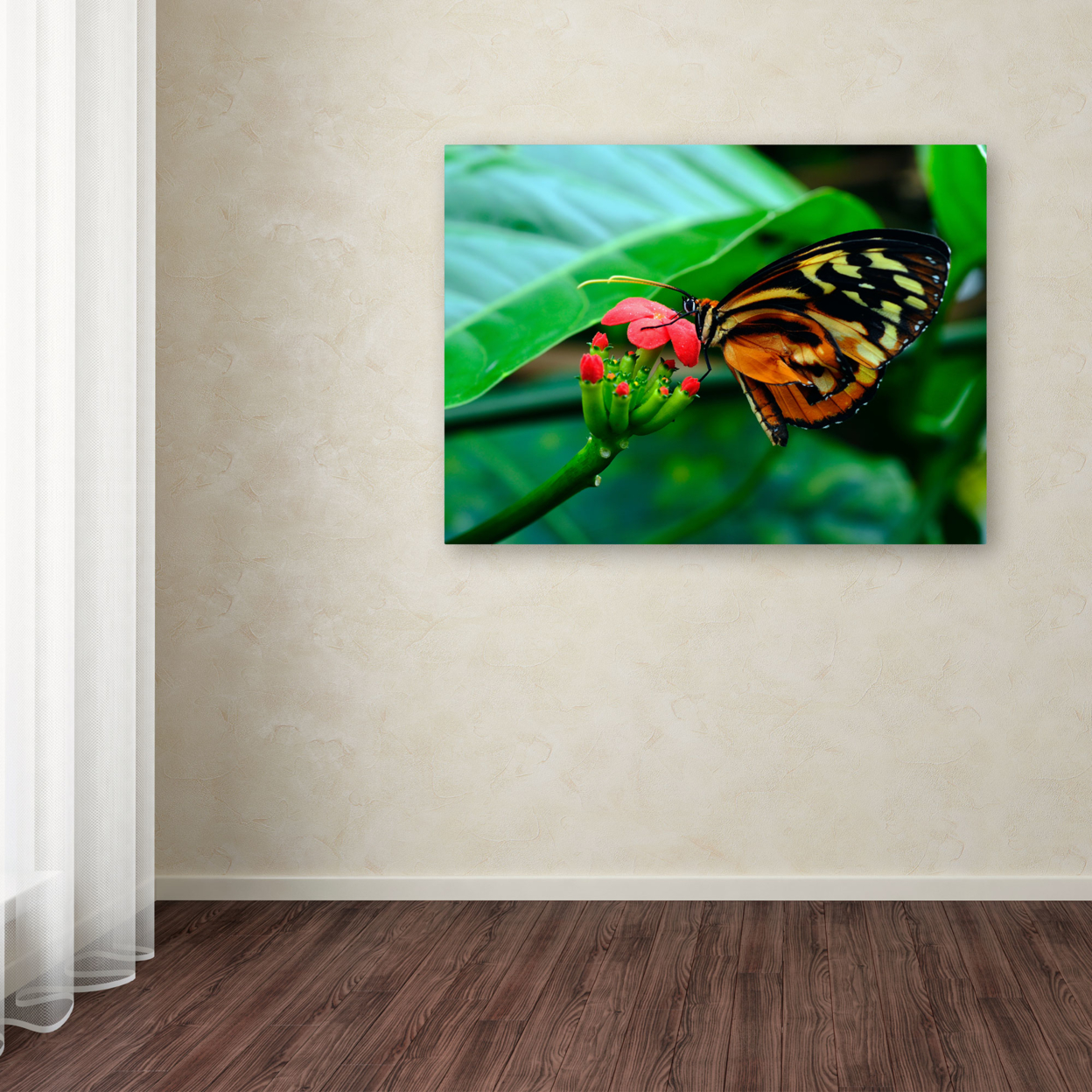 Kurt Shaffer 'Cream Spotted Tigerwing' Canvas Wall Art 35 X 47 Inches
