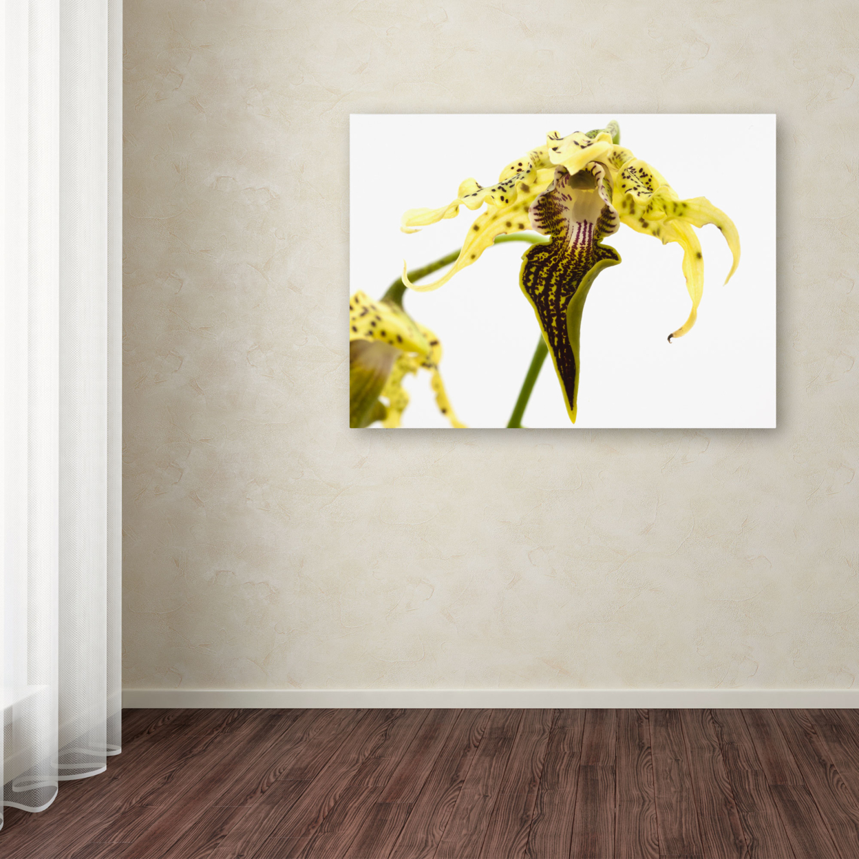 Kurt Shaffer 'Wild Looking Orchid' Canvas Wall Art 35 X 47 Inches