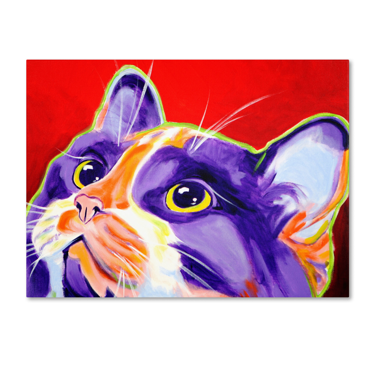 DawgArt 'Cat Issa' Canvas Wall Art 35 X 47 Inches