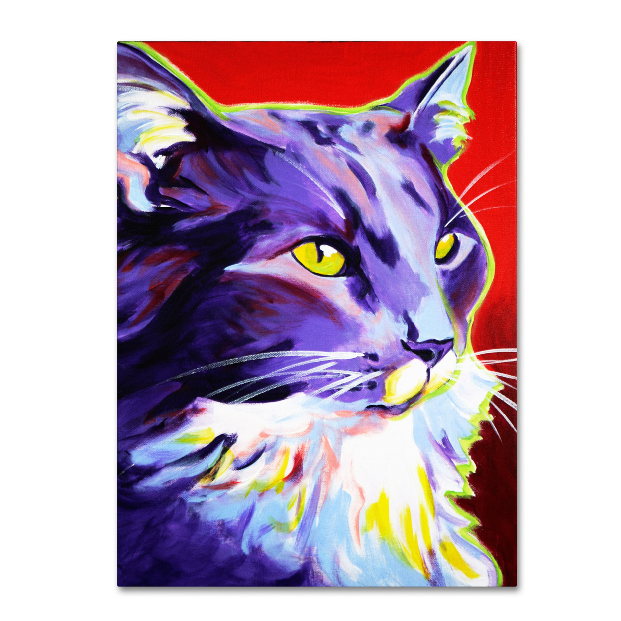 DawgArt 'Cat Kelsier' Canvas Wall Art 35 X 47 Inches