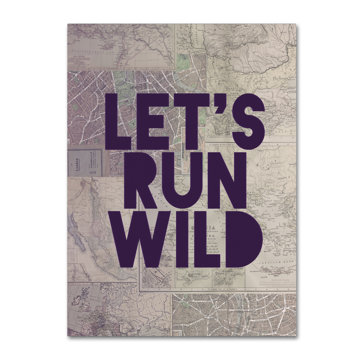 Leah Flores 'Let's Run Wild' Canvas Wall Art 35 X 47 Inches