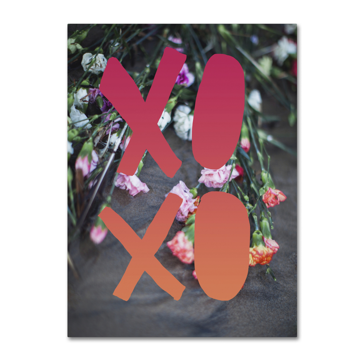 Leah Flores 'XOXO' Canvas Wall Art 35 X 47 Inches