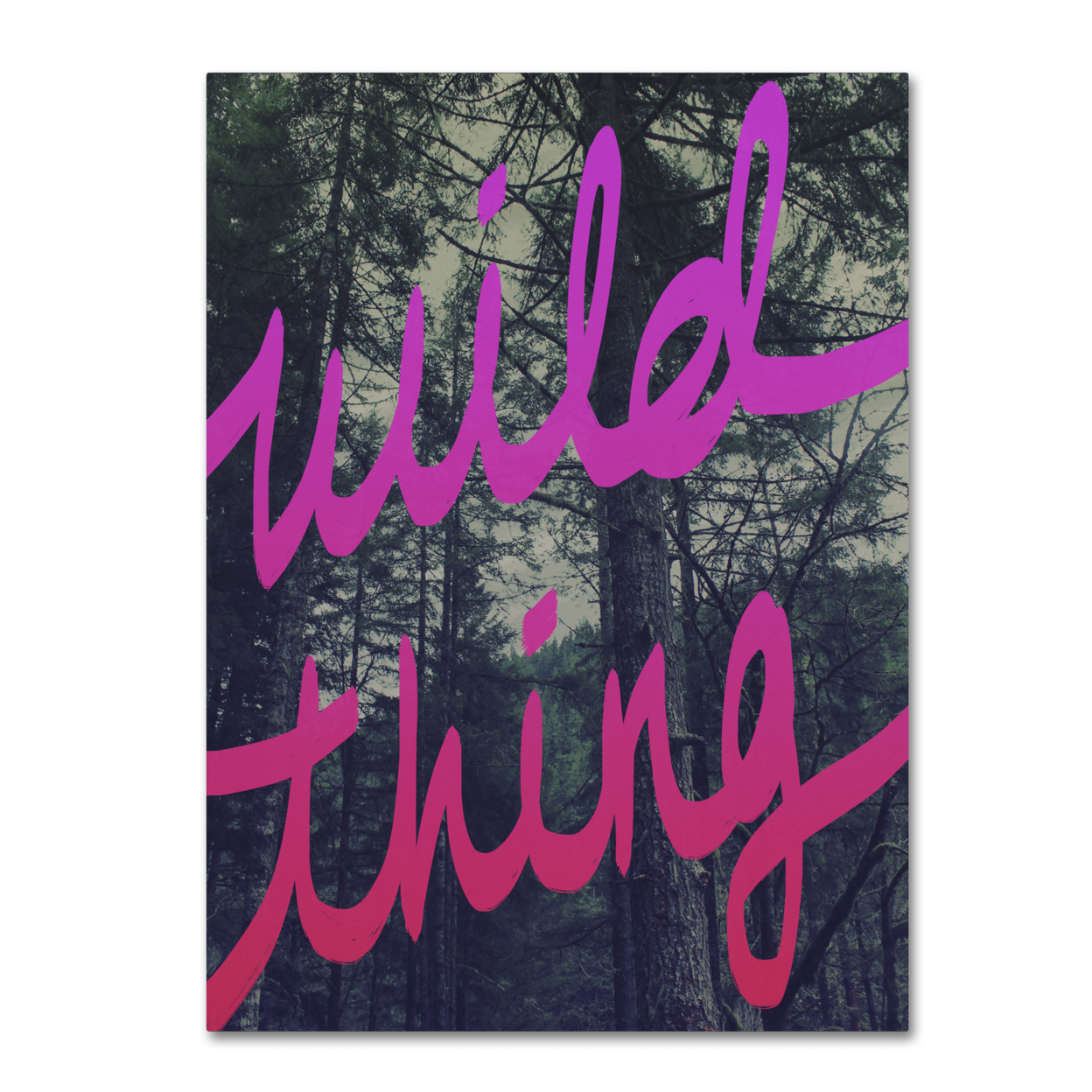 Leah Flores 'Wild Thing' Canvas Wall Art 35 X 47 Inches