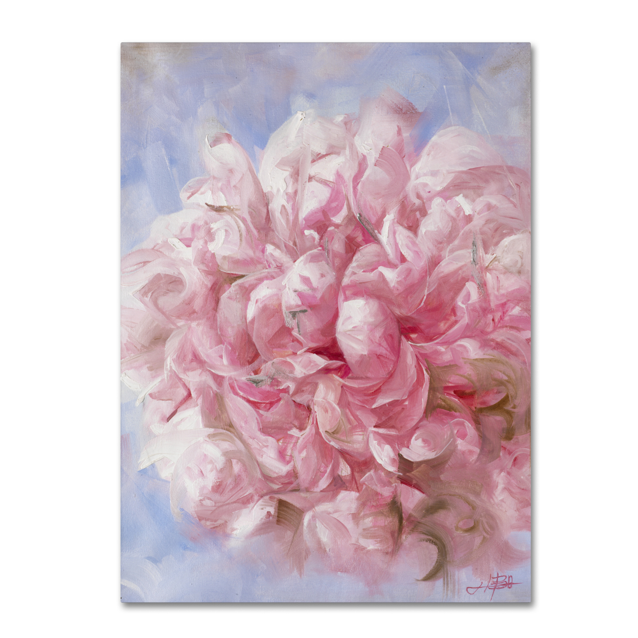 Li Bo 'Pink Peonie I' Canvas Wall Art 35 X 47 Inches