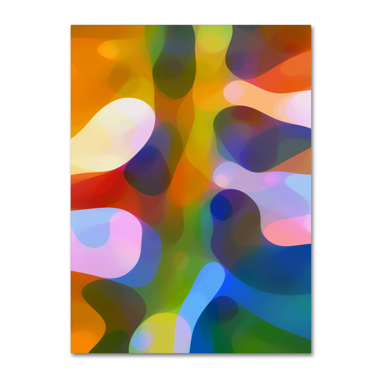 Amy Vangsgard 'Dappled Light Palm 1' Canvas Wall Art 35 X 47 Inches