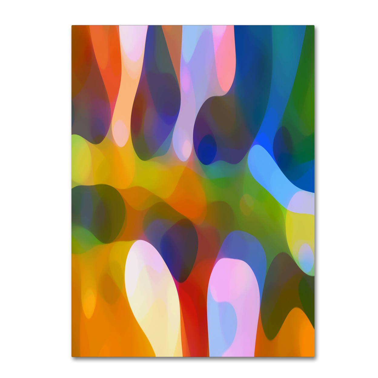 Amy Vangsgard 'Dappled Light Palm 2' Canvas Wall Art 35 X 47 Inches