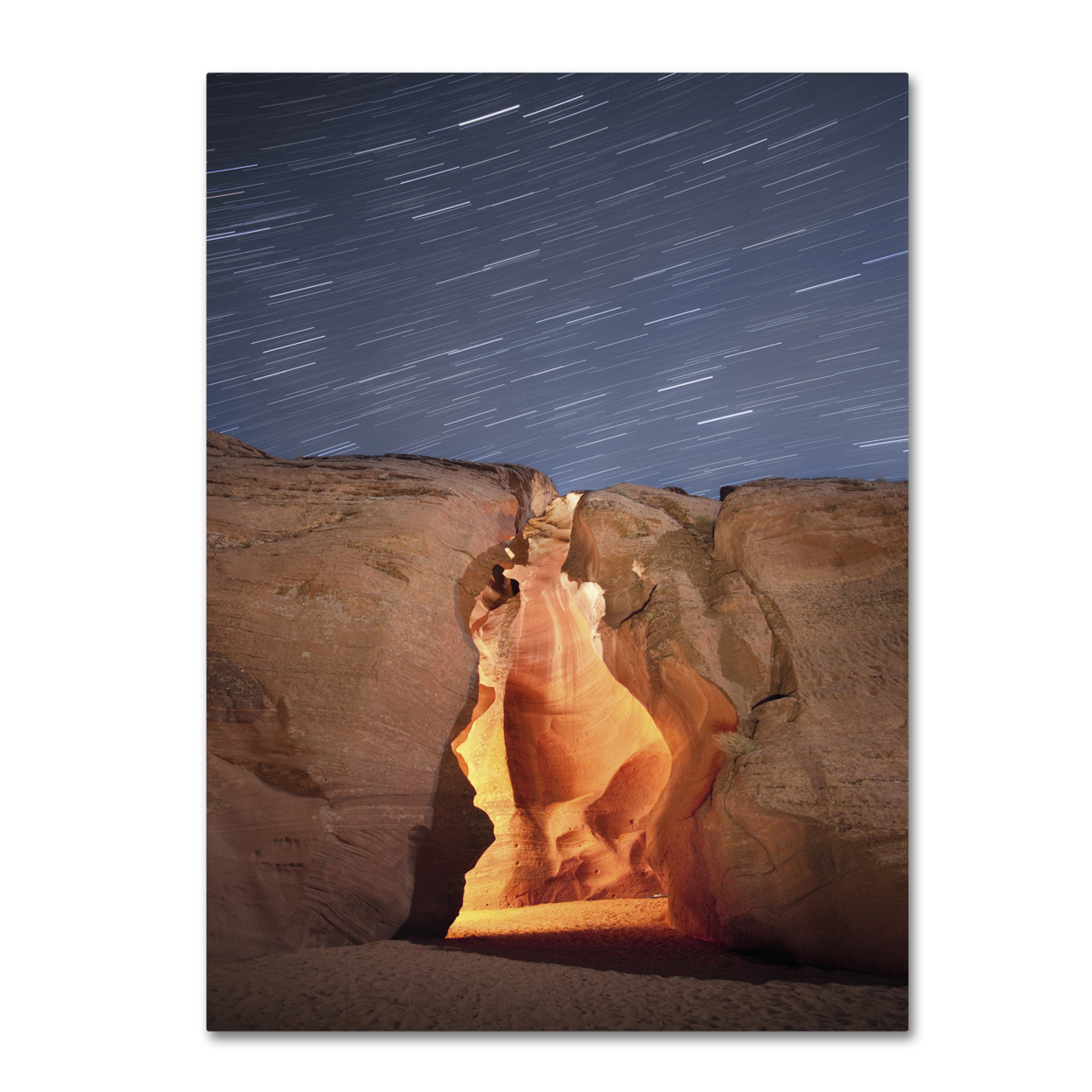 Moises Levy 'Flame' Canvas Wall Art 35 X 47 Inches