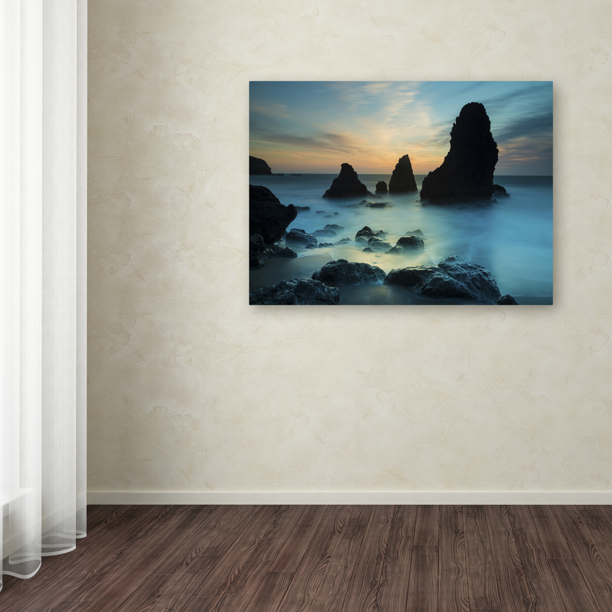 Moises Levy 'Rodeo Beach I' Canvas Wall Art 35 X 47 Inches