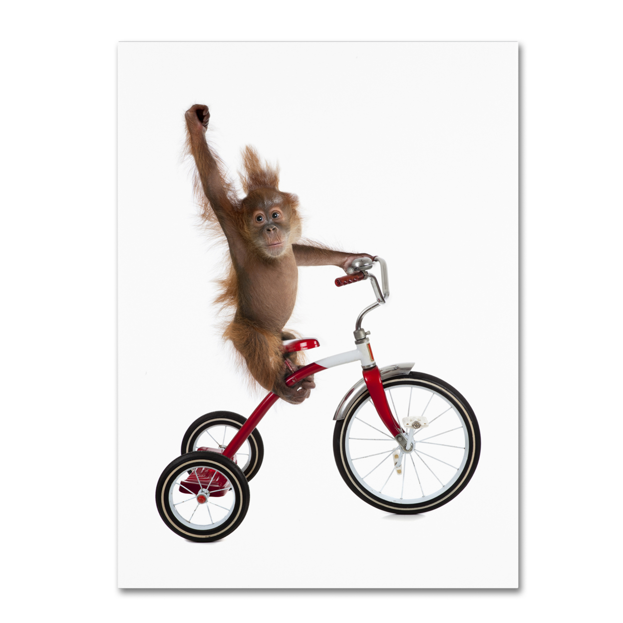 J Hovenstine Studios 'Monkeys Riding Bikes #2' Canvas Wall Art 35 X 47 Inches