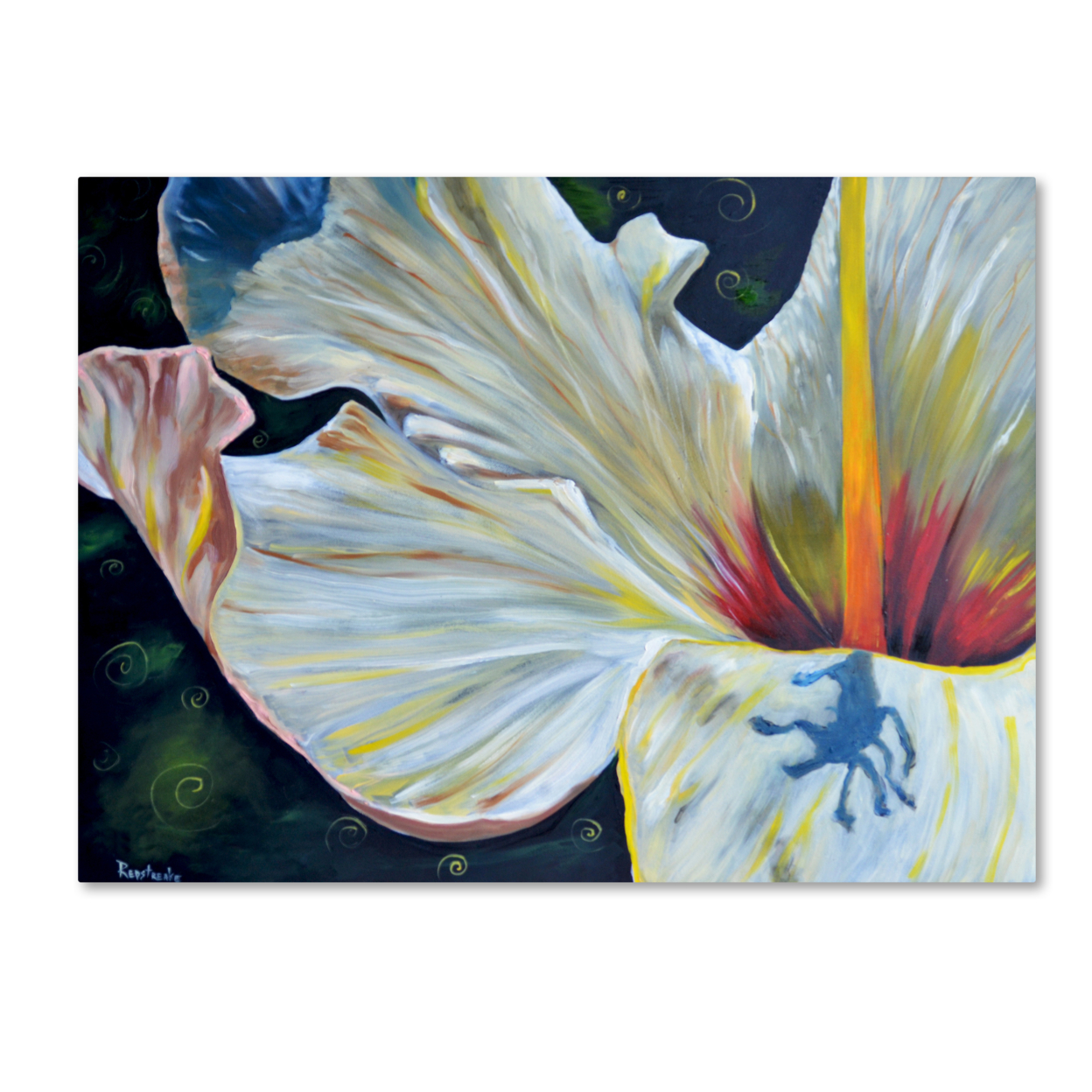 Jennifer Redstreake 'Hibiscus' Canvas Wall Art 35 X 47 Inches
