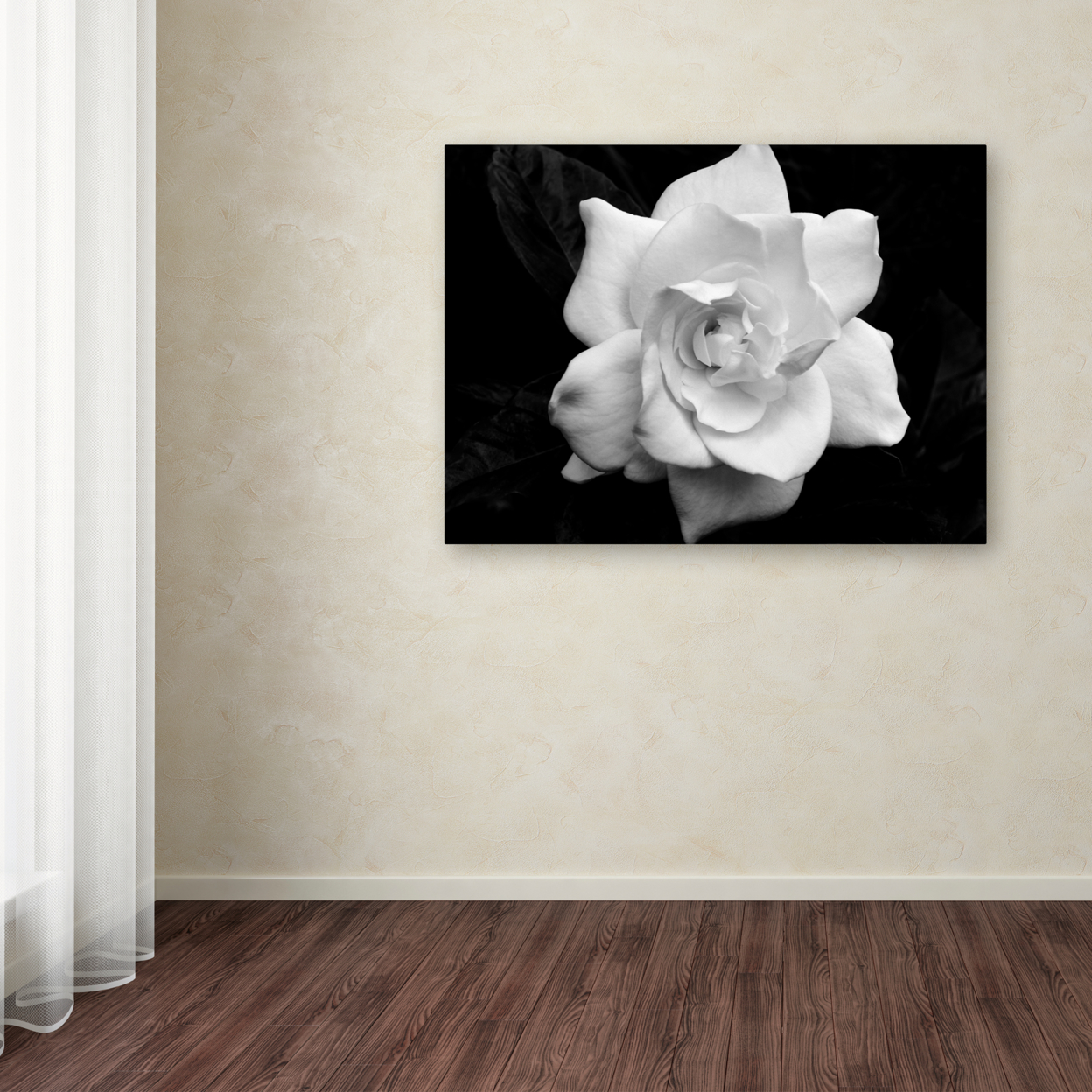 Kurt Shaffer 'Gardenia In Black And White' Canvas Wall Art 35 X 47 Inches