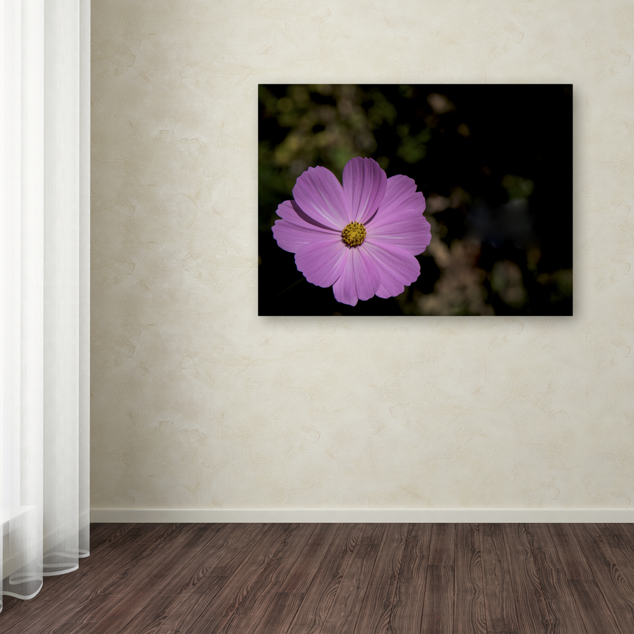 Kurt Shaffer 'Pink Cosmos Flower' Canvas Wall Art 35 X 47 Inches