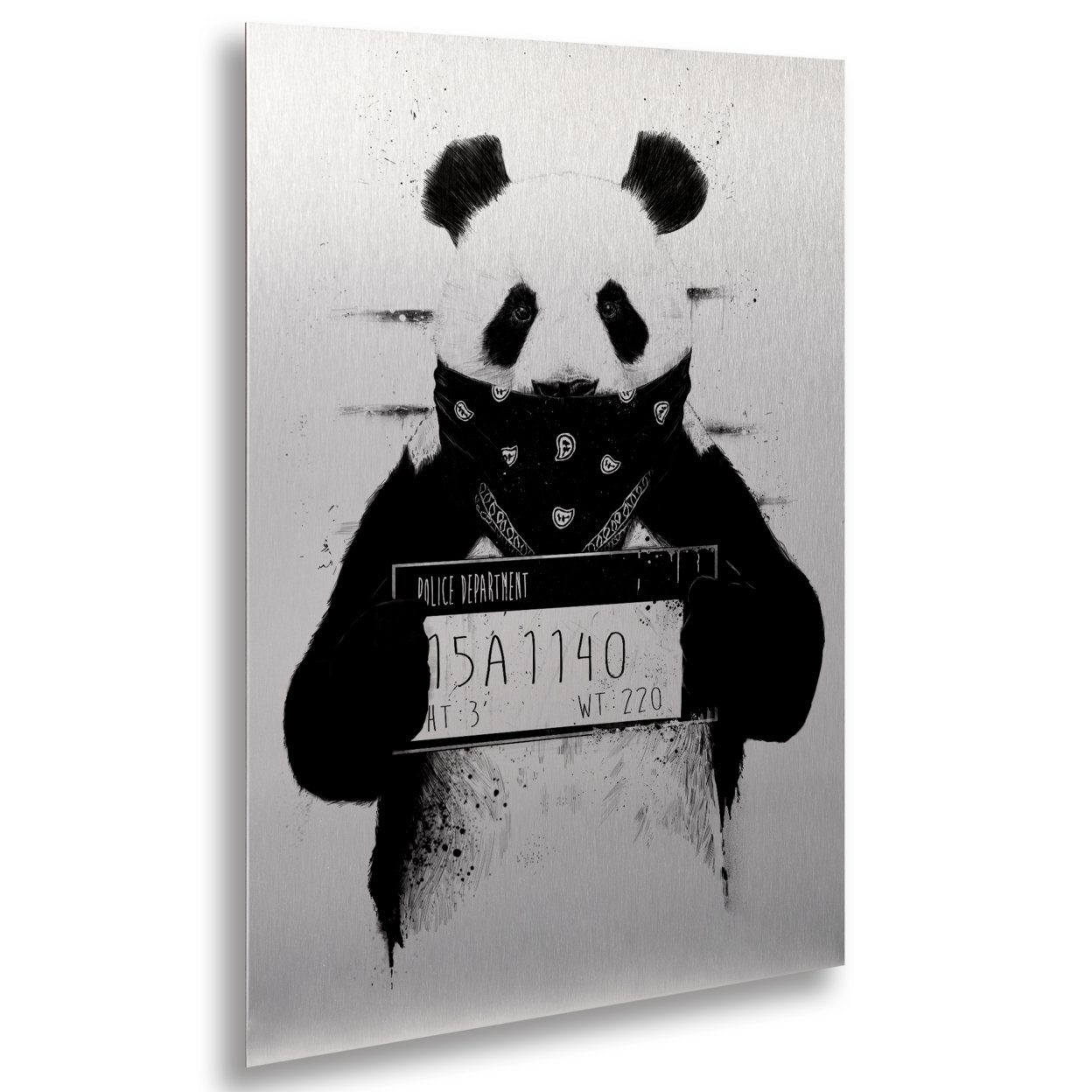 Balazs Solti 'Bad Panda' Floating Brushed Aluminum Art 16 X 22