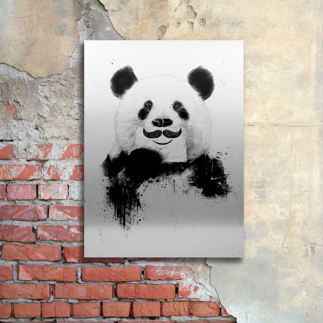 Balazs Solti 'Funny Panda' Floating Brushed Aluminum Art 16 X 22