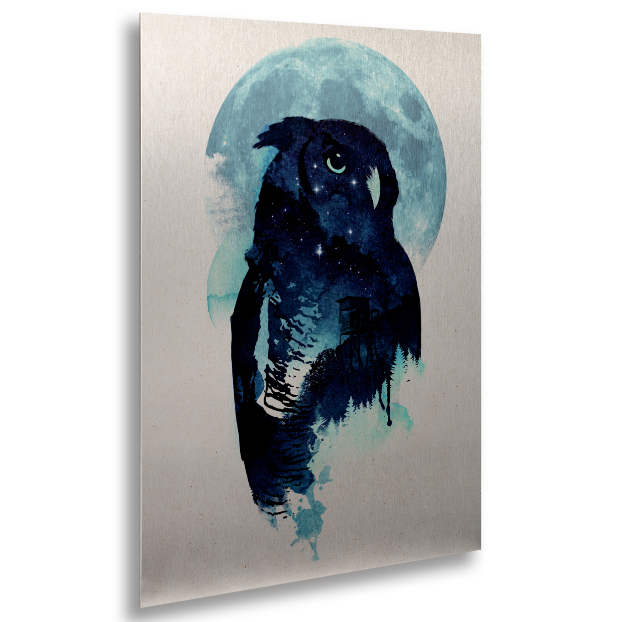 Robert Farkas 'Midnight Owl' Floating Brushed Aluminum Art 16 X 22