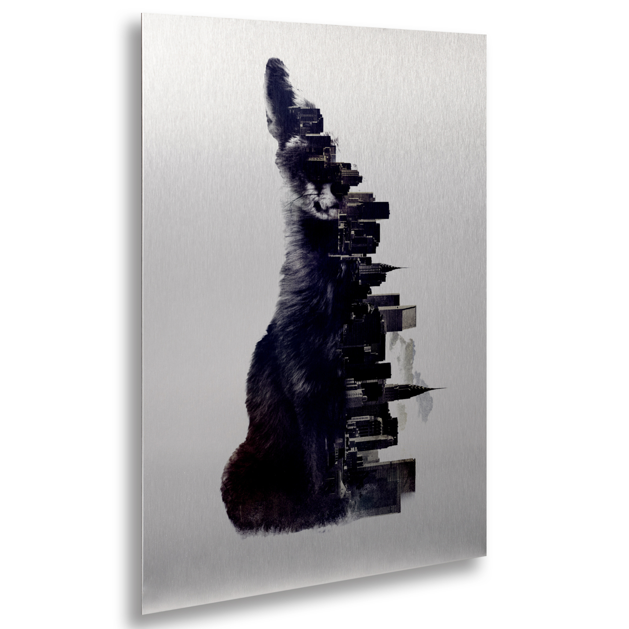 Robert Farkas 'Fox From The City' Floating Brushed Aluminum Art 16 X 22