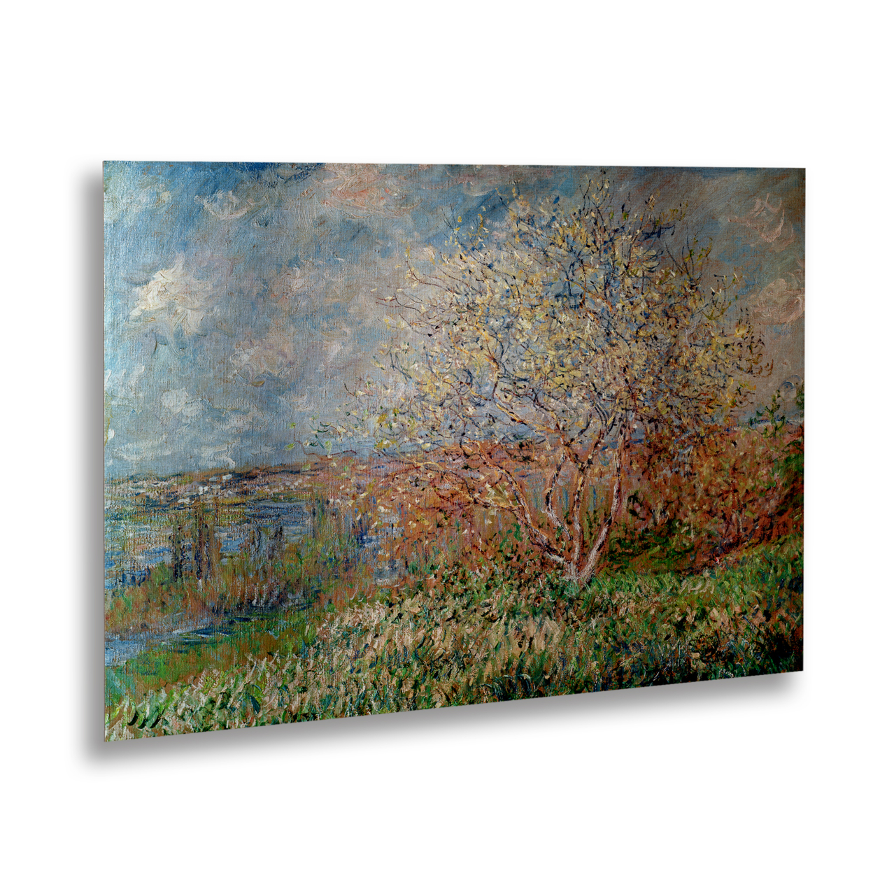 Claude Monet 'Spring 1880' Floating Brushed Aluminum Art 16 X 22