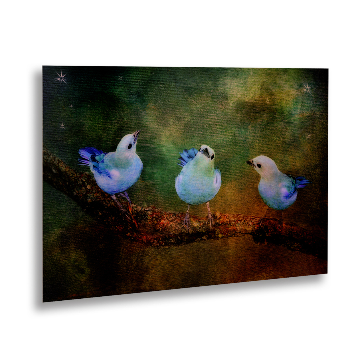 Lois Bryan 'Three Little Blue Birds' Floating Brushed Aluminum Art 16 X 22