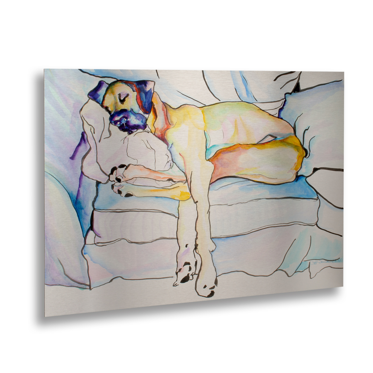 Pat Saunders-White 'Sleeping Beauty' Floating Brushed Aluminum Art 16 X 22