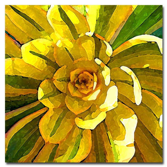 Amy Vangsgard 'Succulent Square VII' Huge Canvas Art 35 X 35