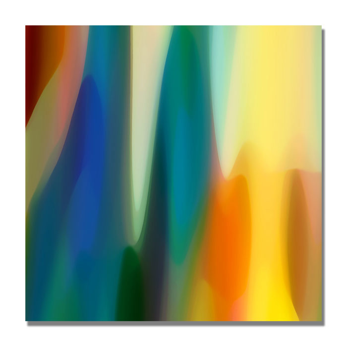 Amy Vangsgard 'Color Fury VI' Huge Canvas Art 35 X 35