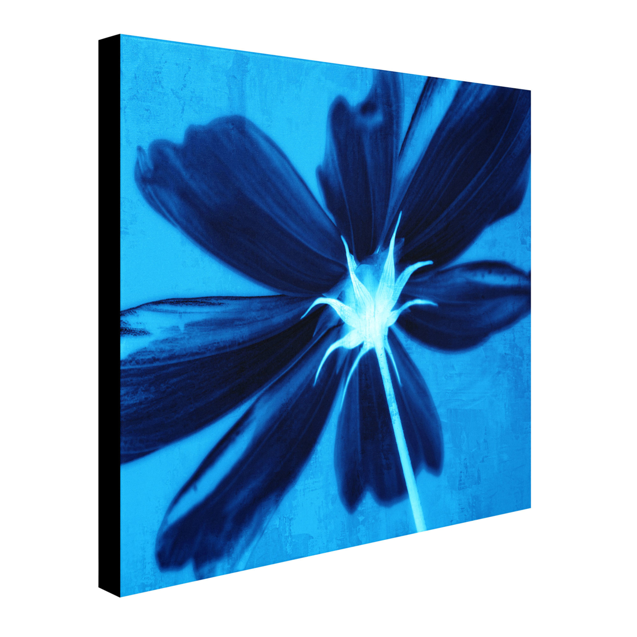 Philippe Sainte-Laudy 'Corolla Blue' Huge Canvas Art 35 X 35