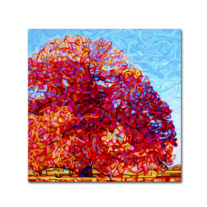 Mandy Budan 'Buddha Tree' Huge Canvas Art 35 X 35