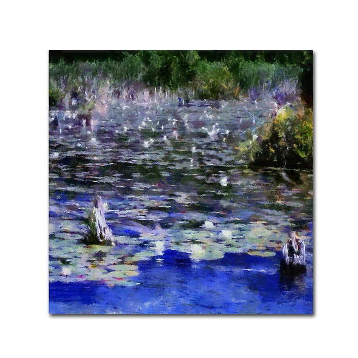 Michelle Calkins 'Water Lilies In The River' Huge Canvas Art 35 X 35