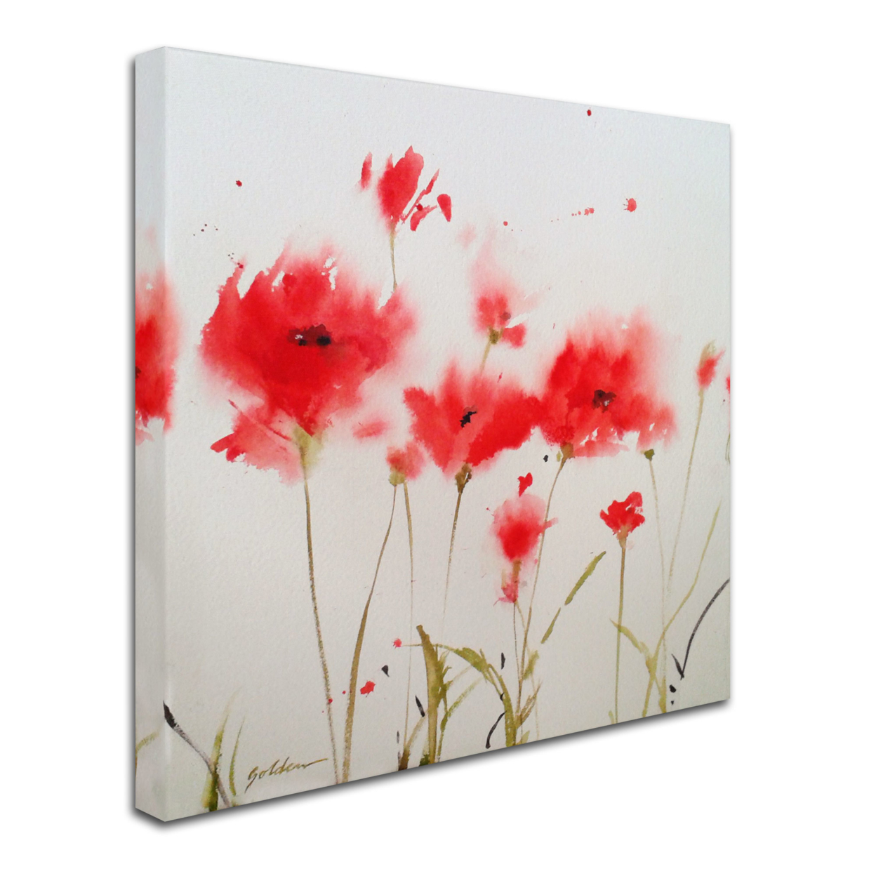 Sheila Golden 'A Poppy Moment' Huge Canvas Art 35 X 35