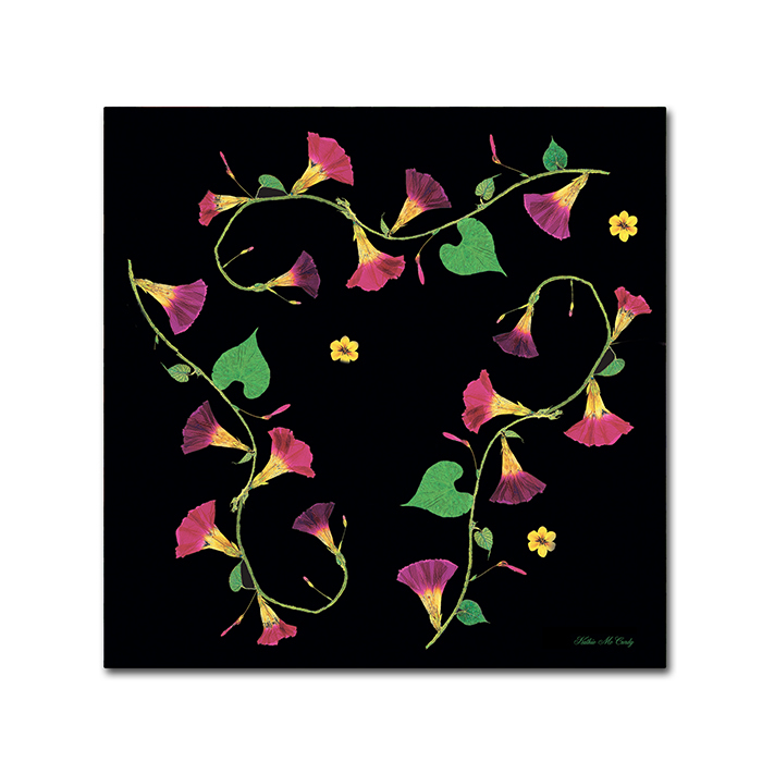 Kathie McCurdy 'Pressed Flowers Morning Glories' Huge Canvas Art 35 X 35