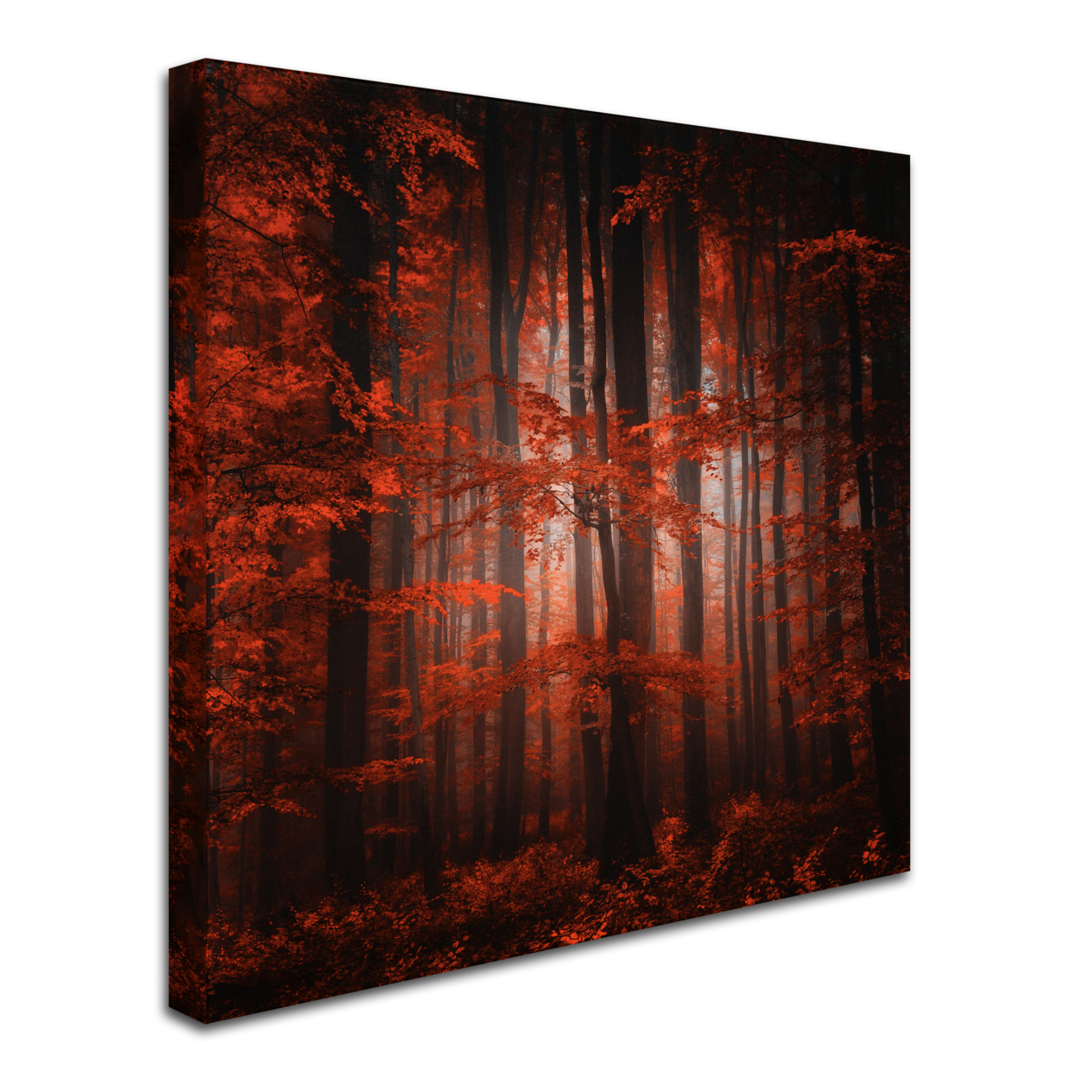 Philippe Sainte-Laudy 'Red Parallel Universe' Huge Canvas Art 35 X 35