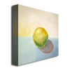 Michelle Calkins 'Yellow Lemon Still Life' Huge Canvas Art 35 X 35