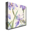 Sheila Golden 'Purple Iris' Huge Canvas Art 35 X 35