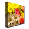Amy Vangsgard 'Spring Bouquet' Huge Canvas Art 35 X 35