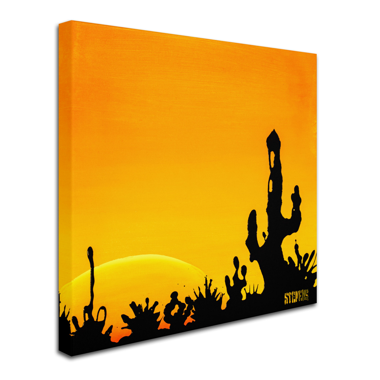 Roderick Stevens 'Saguaro Sunset' Huge Canvas Art 35 X 35