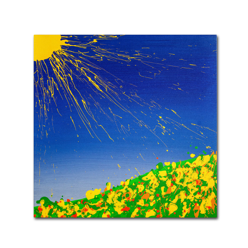 Roderick Stevens 'Sunny Field' Huge Canvas Art 35 X 35