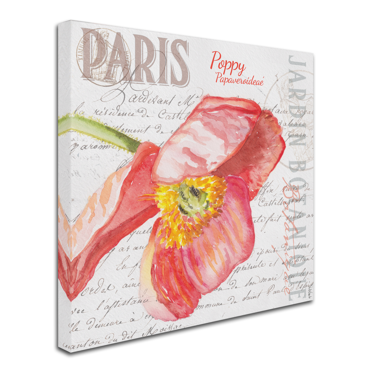 Jennifer Redstreake 'Paris Botanique Red Poppy' Huge Canvas Art 35 X 35