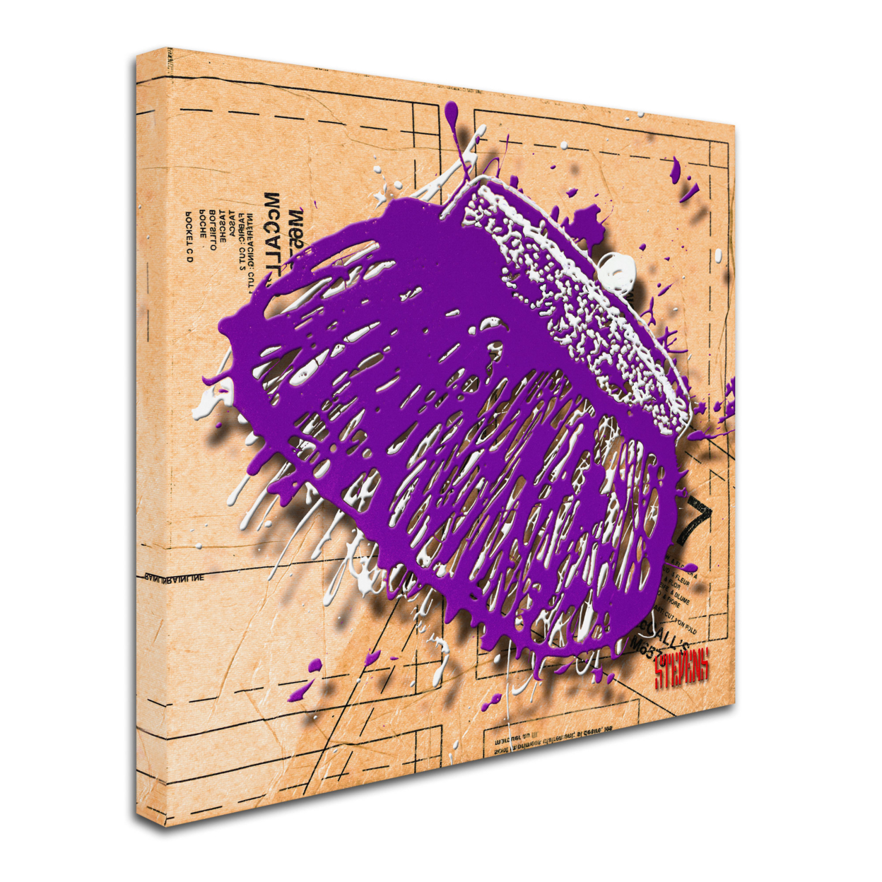 Roderick Stevens 'Snap Purse Purple' Huge Canvas Art 35 X 35