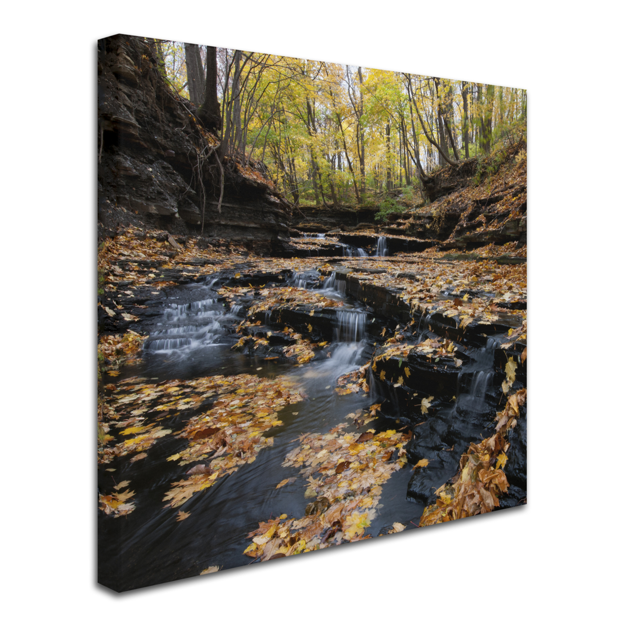 Kurt Shaffer 'Lakeview Autumn Falls' Huge Canvas Art 35 X 35