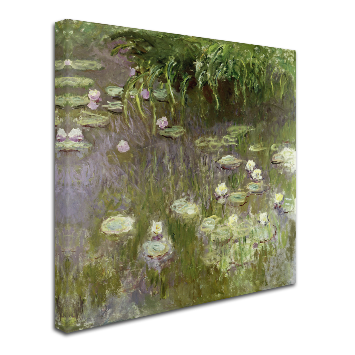 Monet 'Waterlilies At Midday' Huge Canvas Art 35 X 35